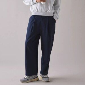 Standard Cloth Jason Cropped Pleated Pant Size 30